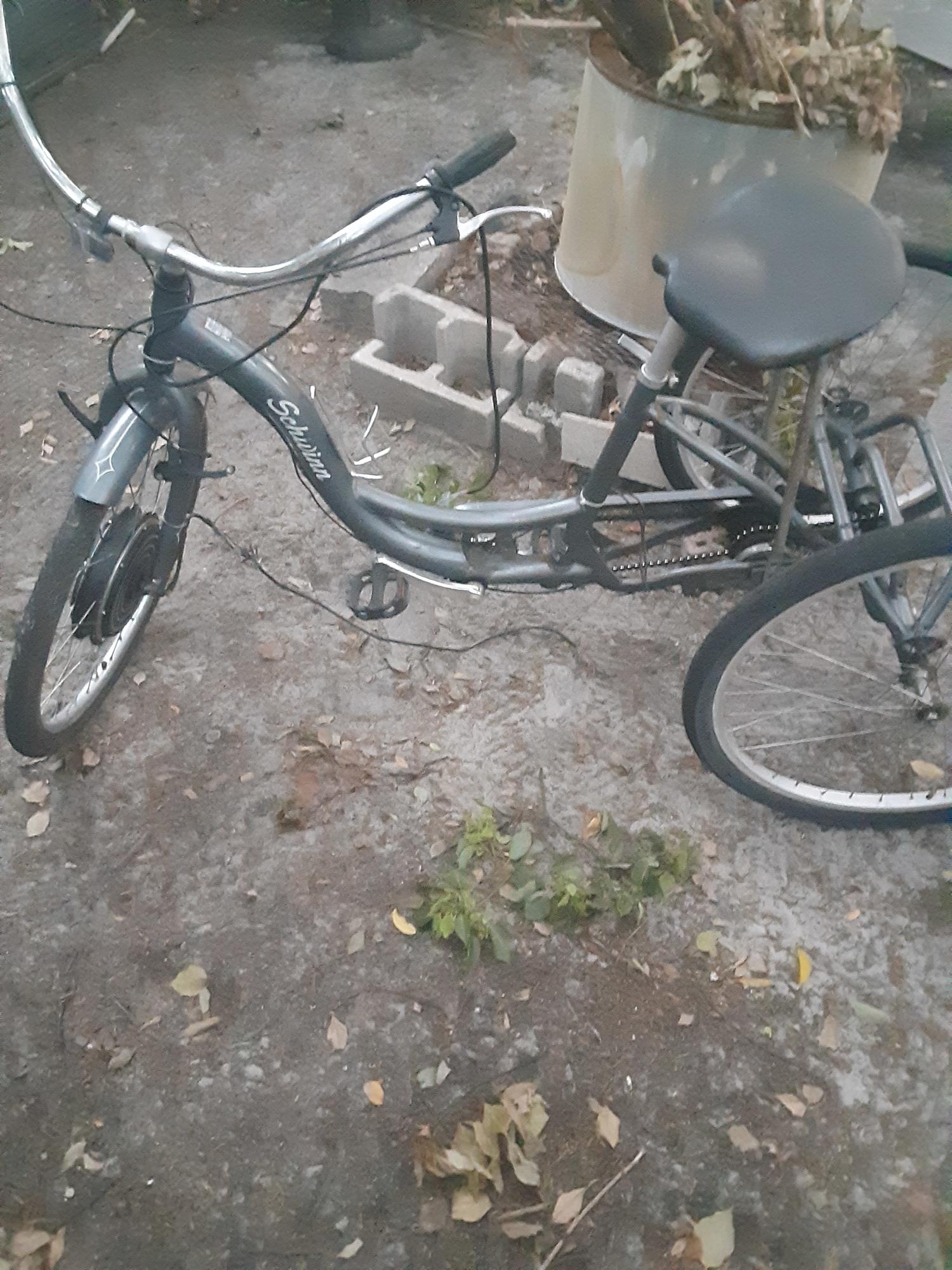 Schwinn Meridian Silver, gray or bare metal