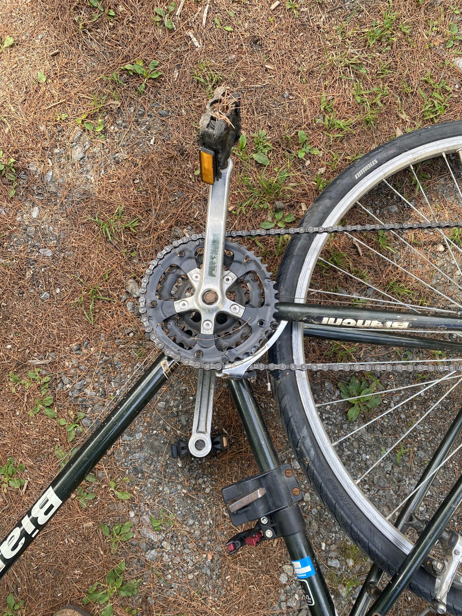 Bianchi advantage Green