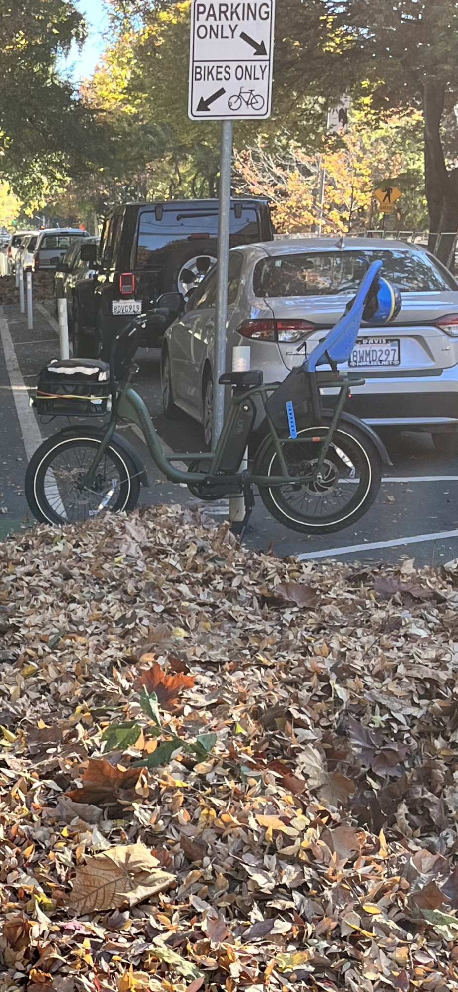 2022 Rad Power Bikes Rad runner 2 Green