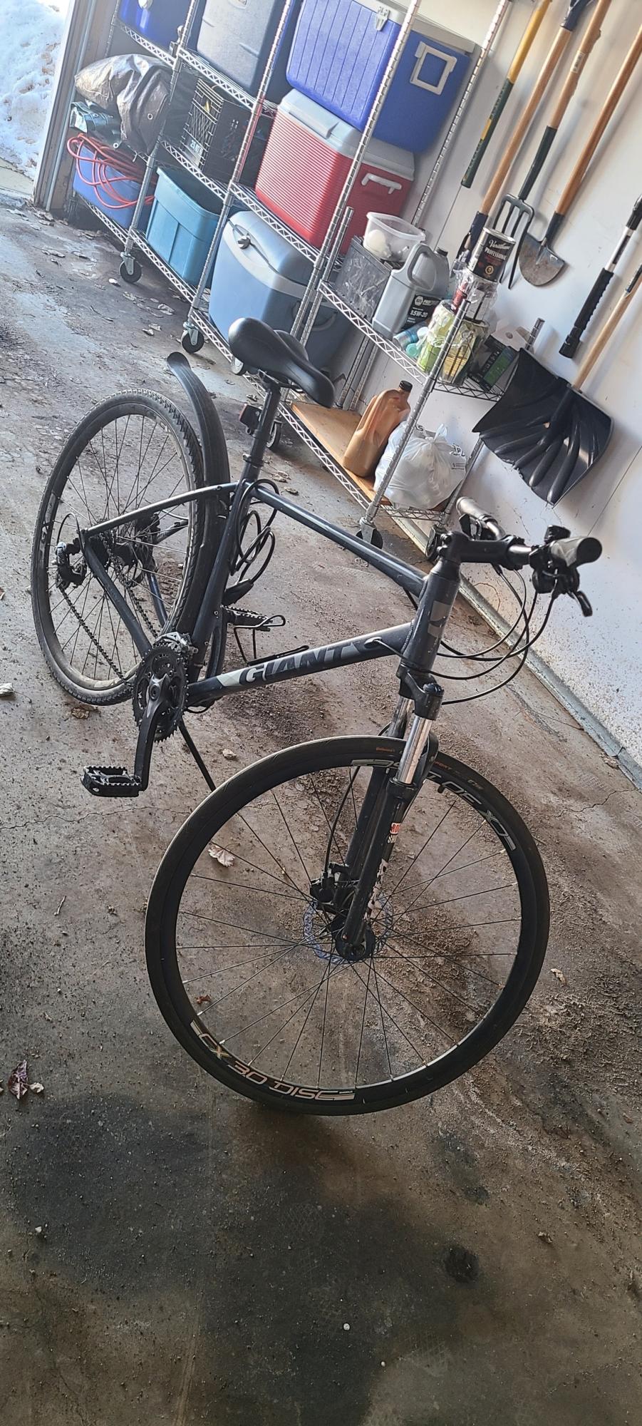 Giant Escape 1 Silver, gray or bare metal