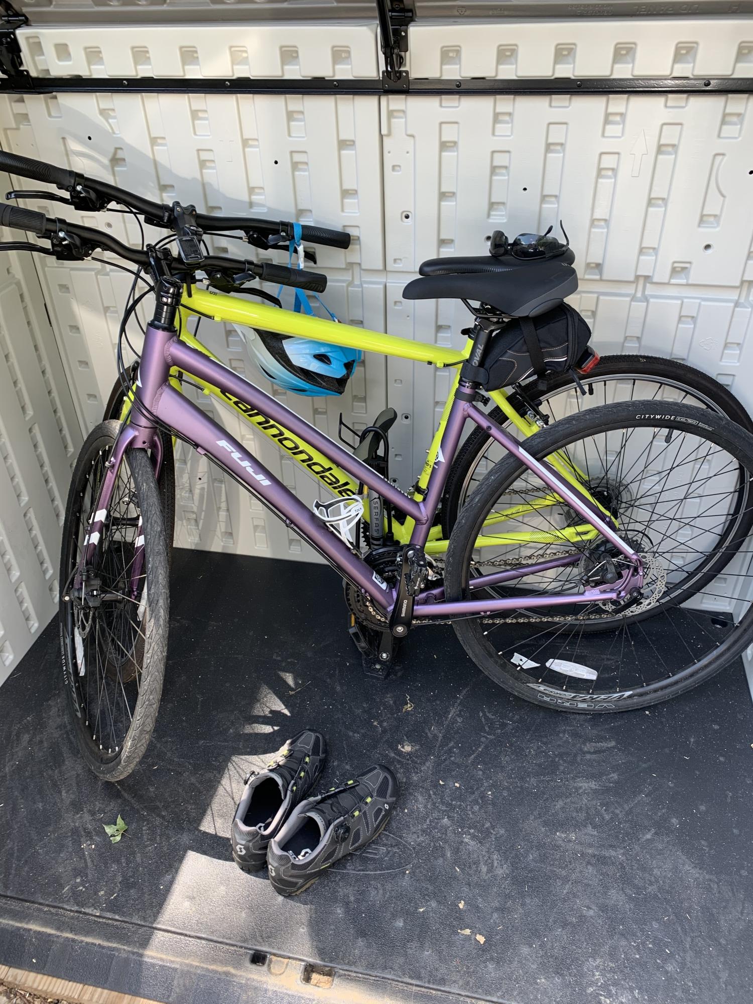 2019 Fuji Absolute1.9 Purple