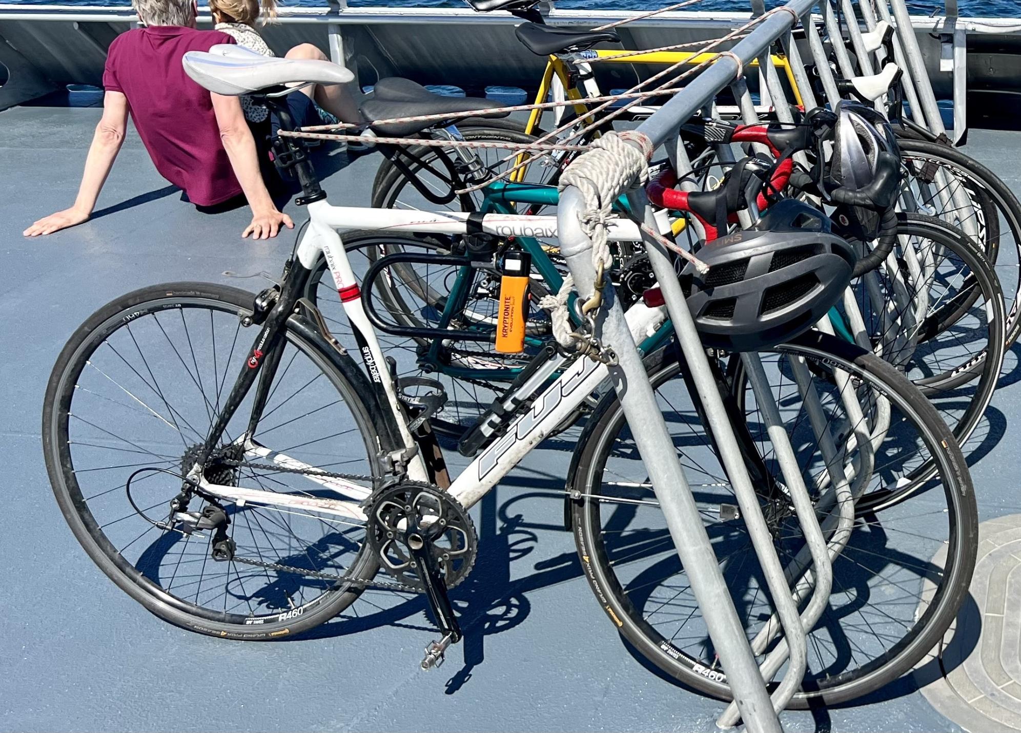 2009 Fuji Roubaix Pro White, Black, and Red