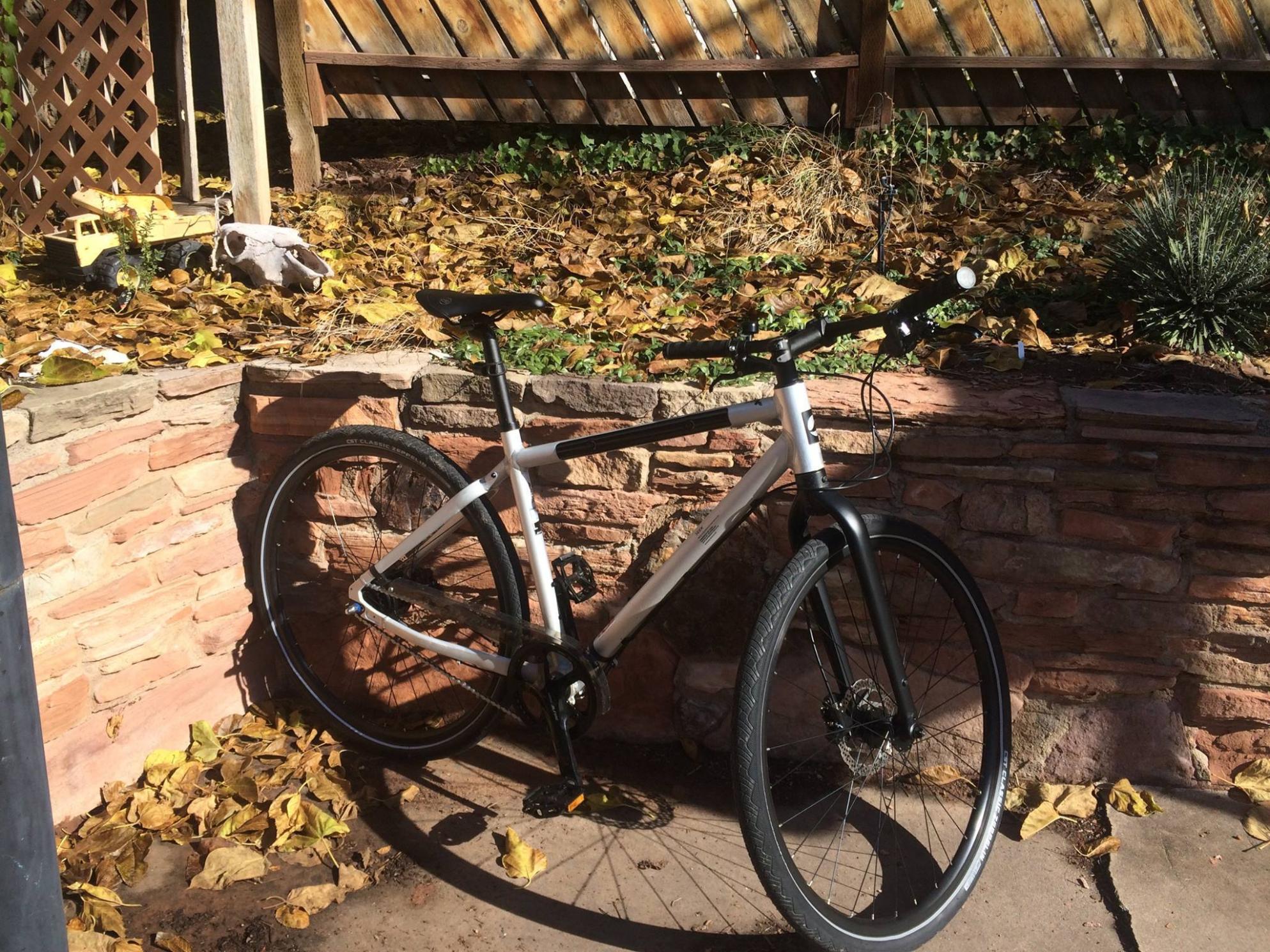 2016 Giant Seek 1 Silver or Gray