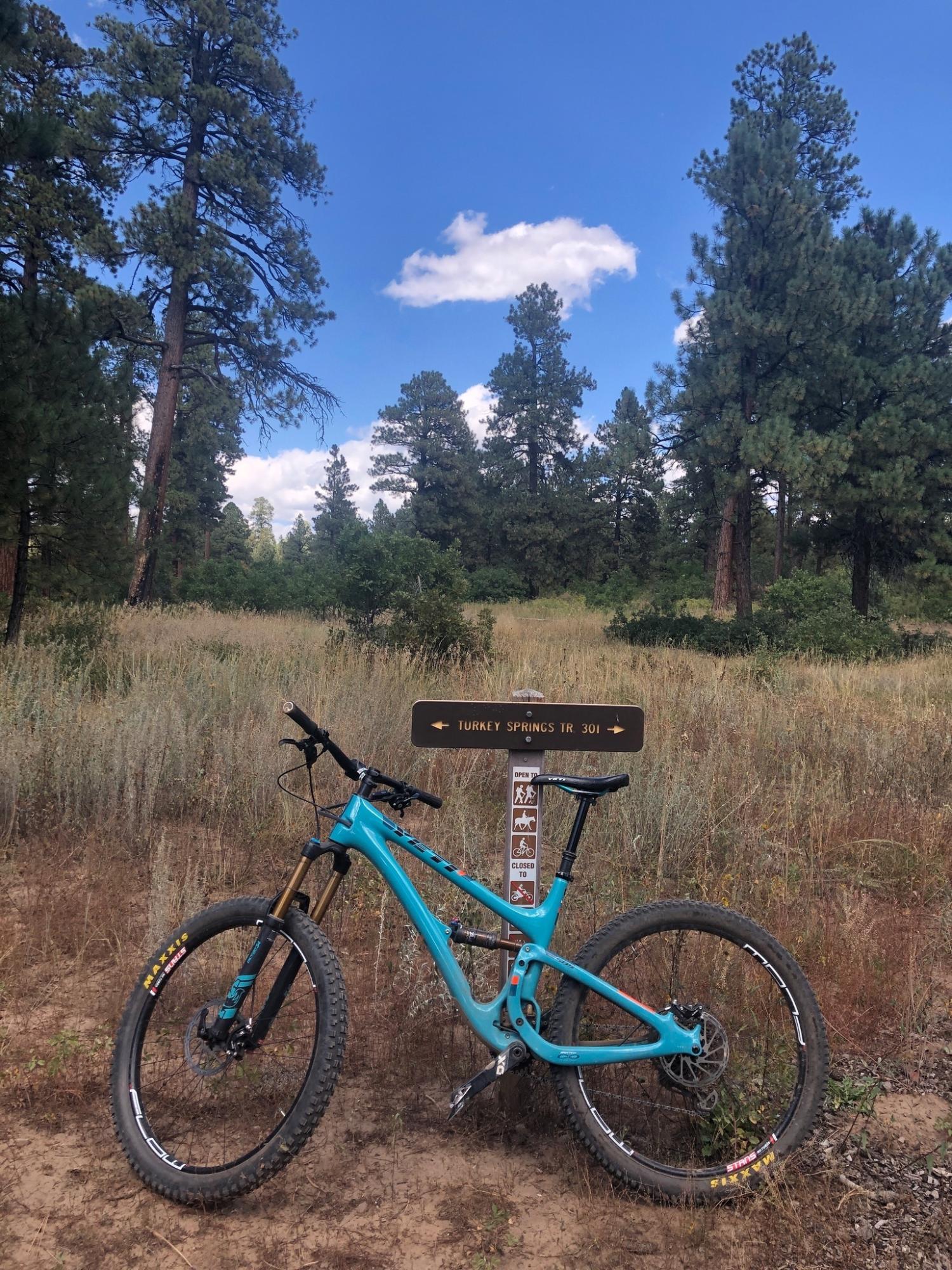 2018 Yeti SB5 Turq Teal