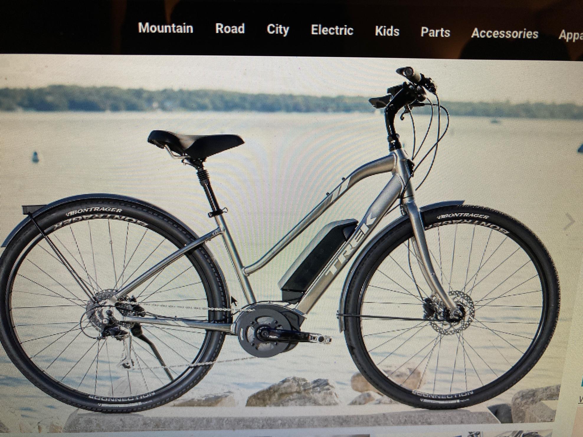 2019 Trek Step Through Silver, gray or bare metal
