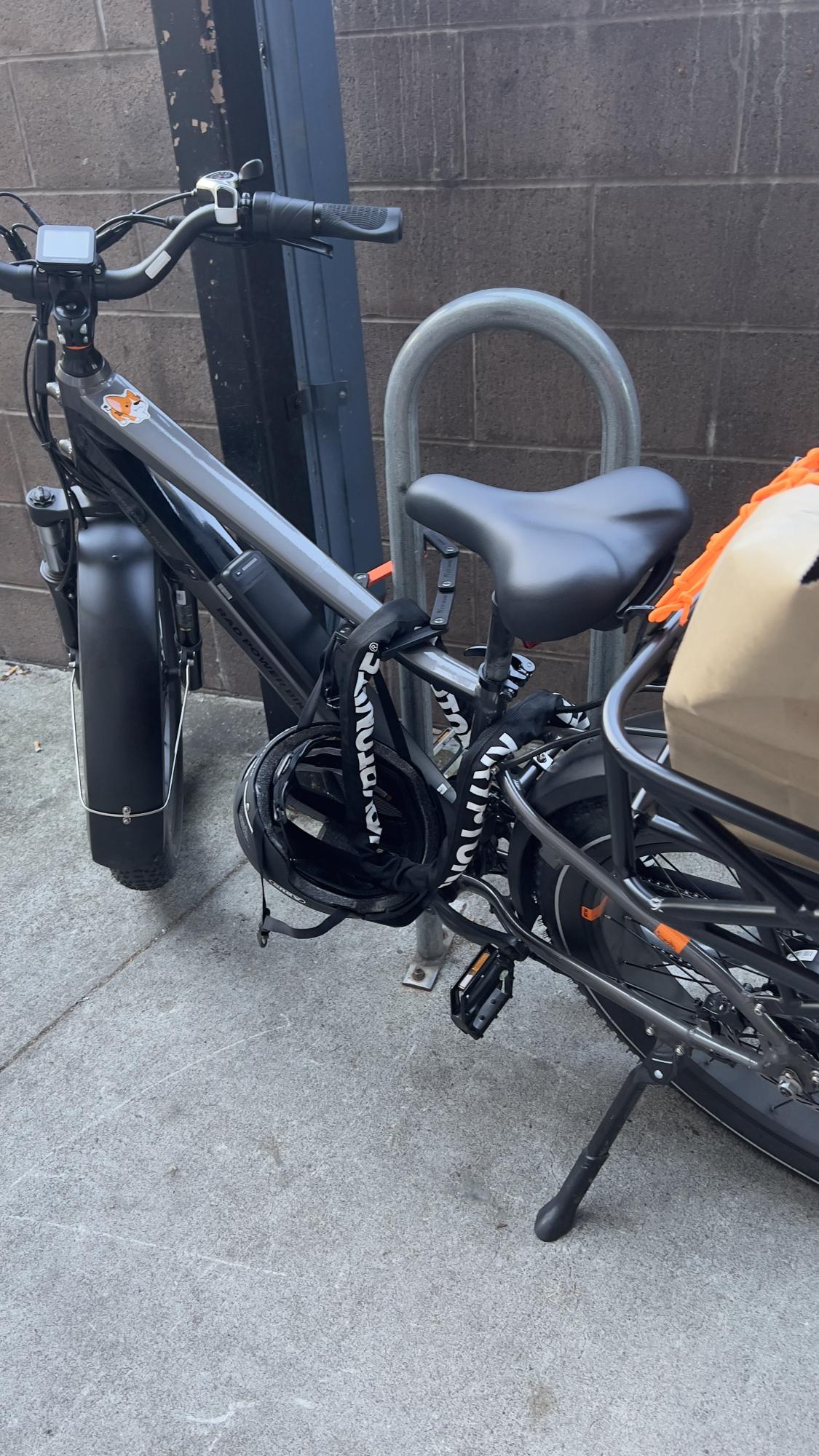 2021 Rad Power Bikes RadRover 6 Silver, gray or bare metal