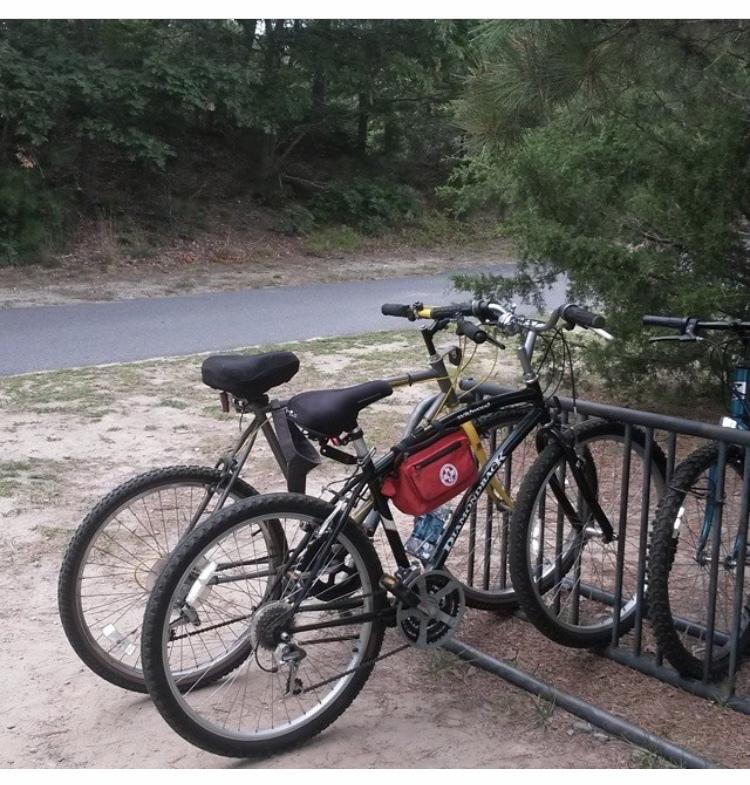 1999 Diamondback Wildwood Green