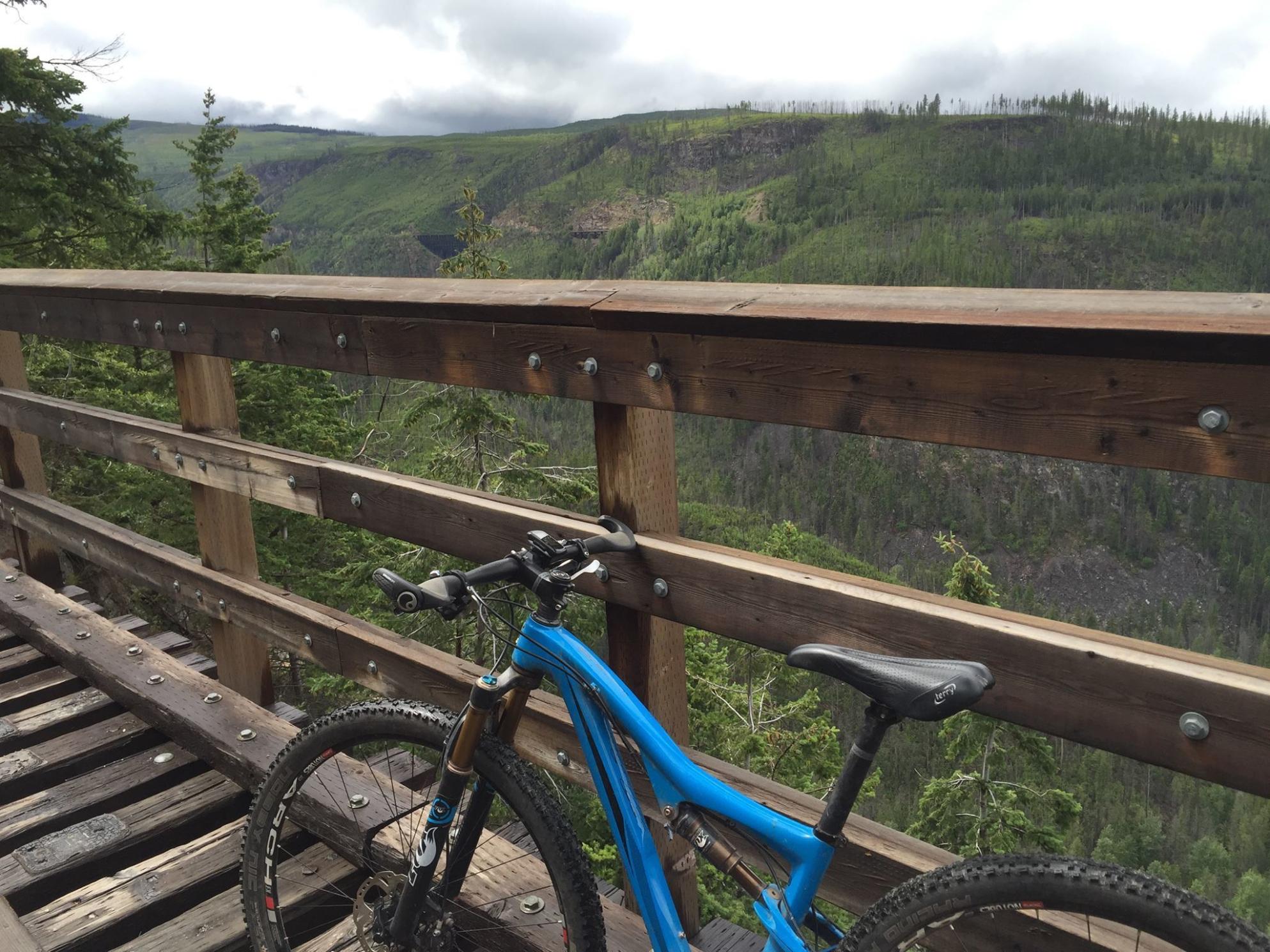 2014 Ibis Ripley Blue