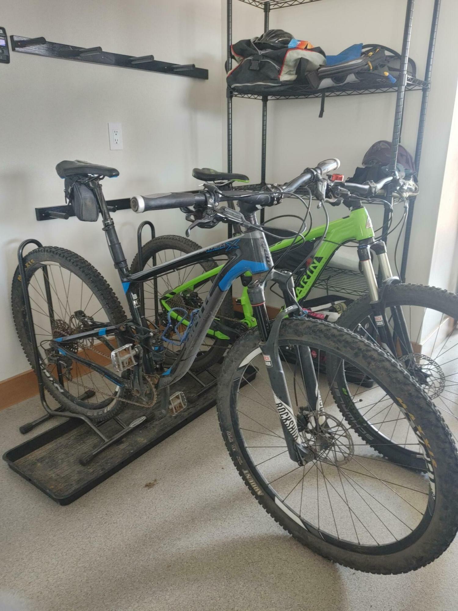 2021 Giant Anthem Black and Blue