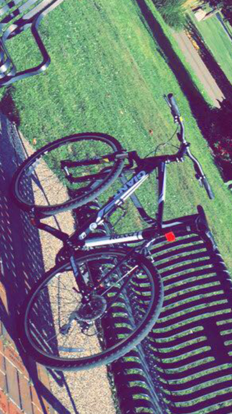 2016 Giant Roam 3 Black and White