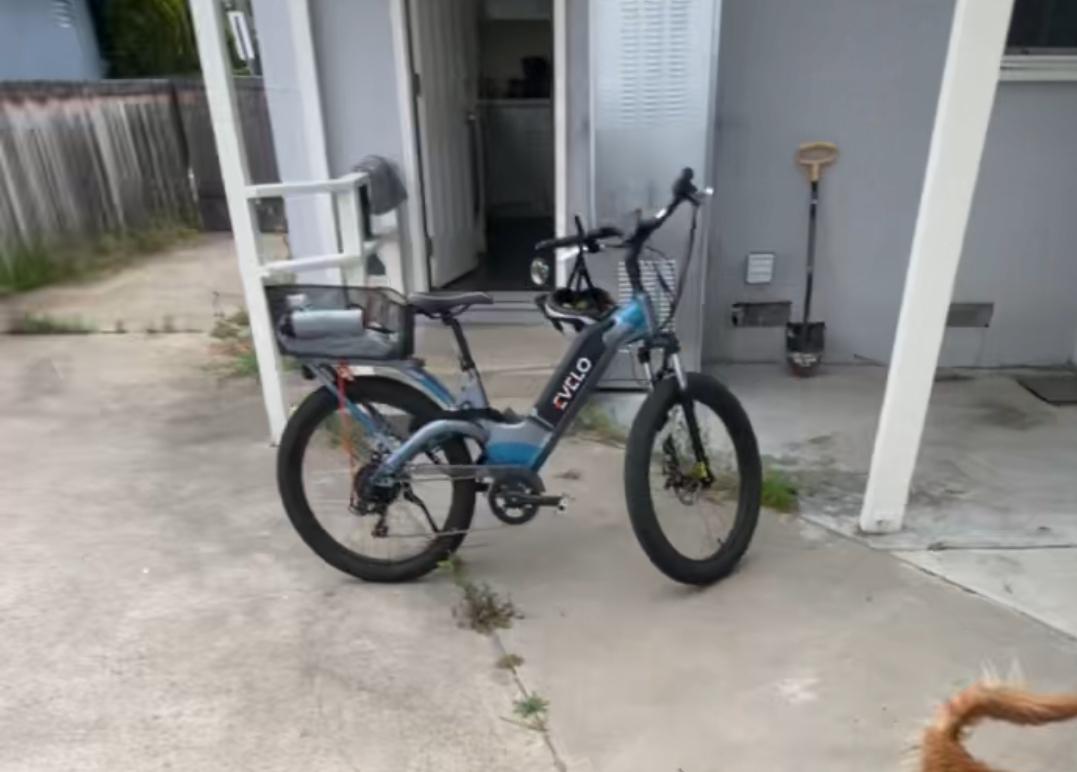 2019 Evelo Aurora Blue