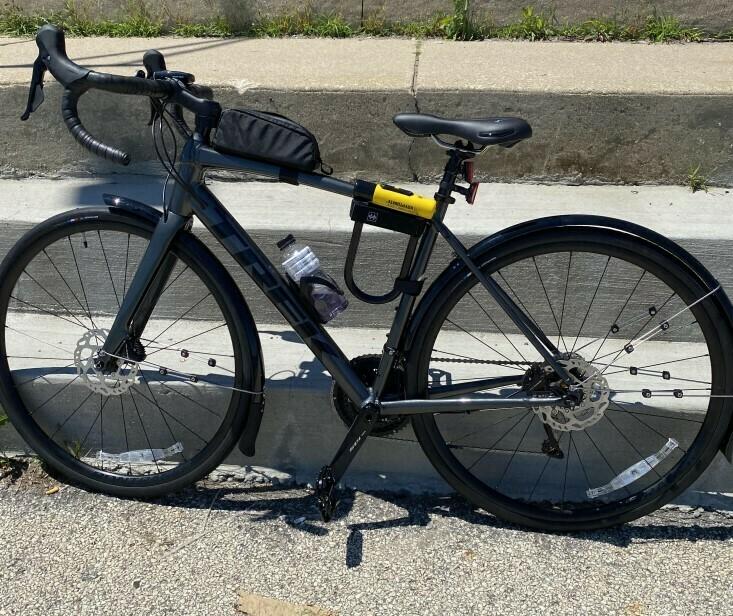 2022 Trek Domane AL 5 Disc Silver, gray or bare metal and Black