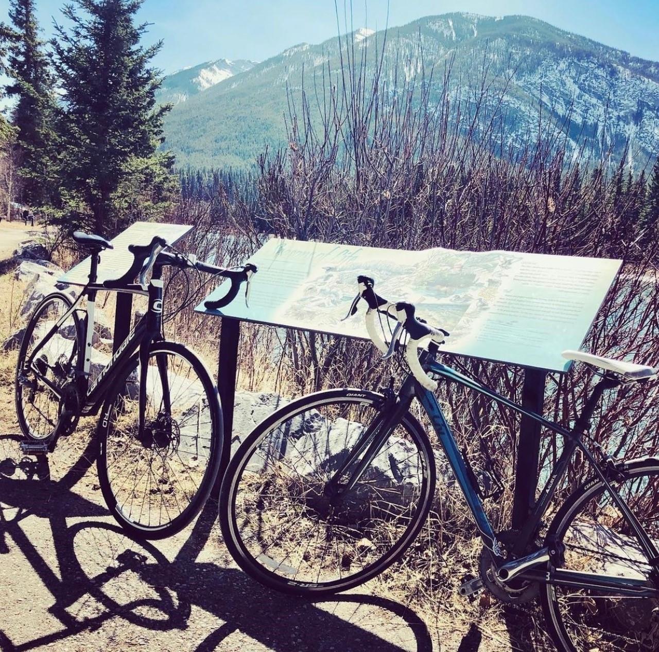 2014 Cannondale Synapse 7 Sora Black and White