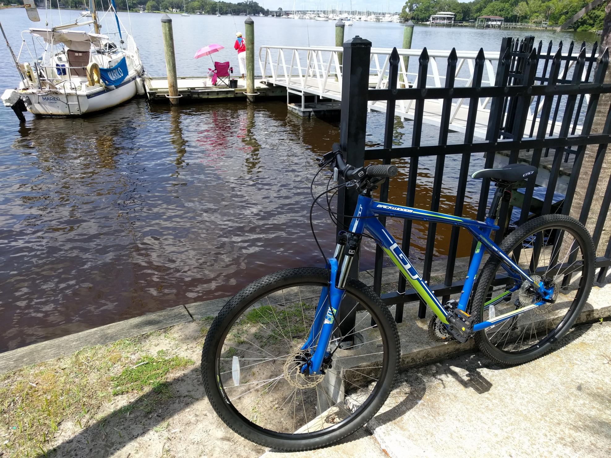 2016 GT Bicycles Mountain bike 29er Blue