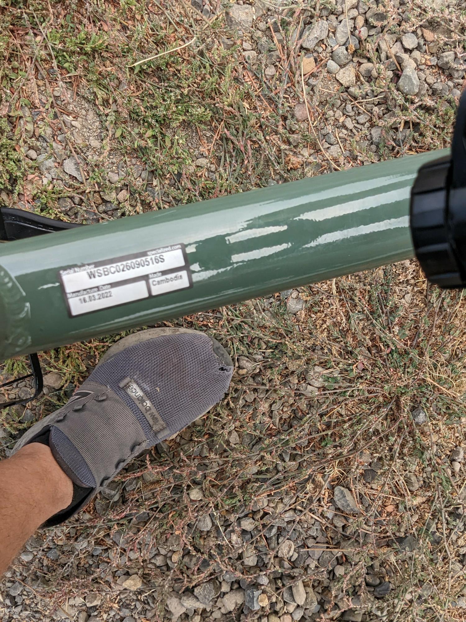 2022 Specialized Rockhopper Elite Green