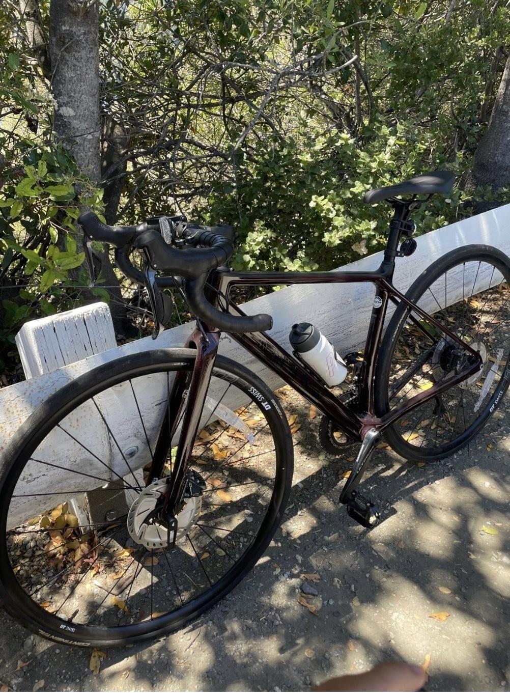 2021 Canyon bicycles Endurace WMN CF SL Disc 8.0 Di2 Brown