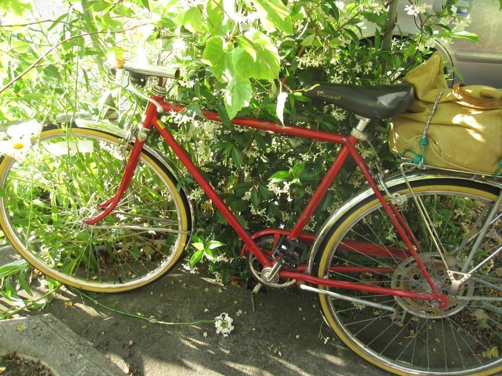 Schwinn Collegiate  Red