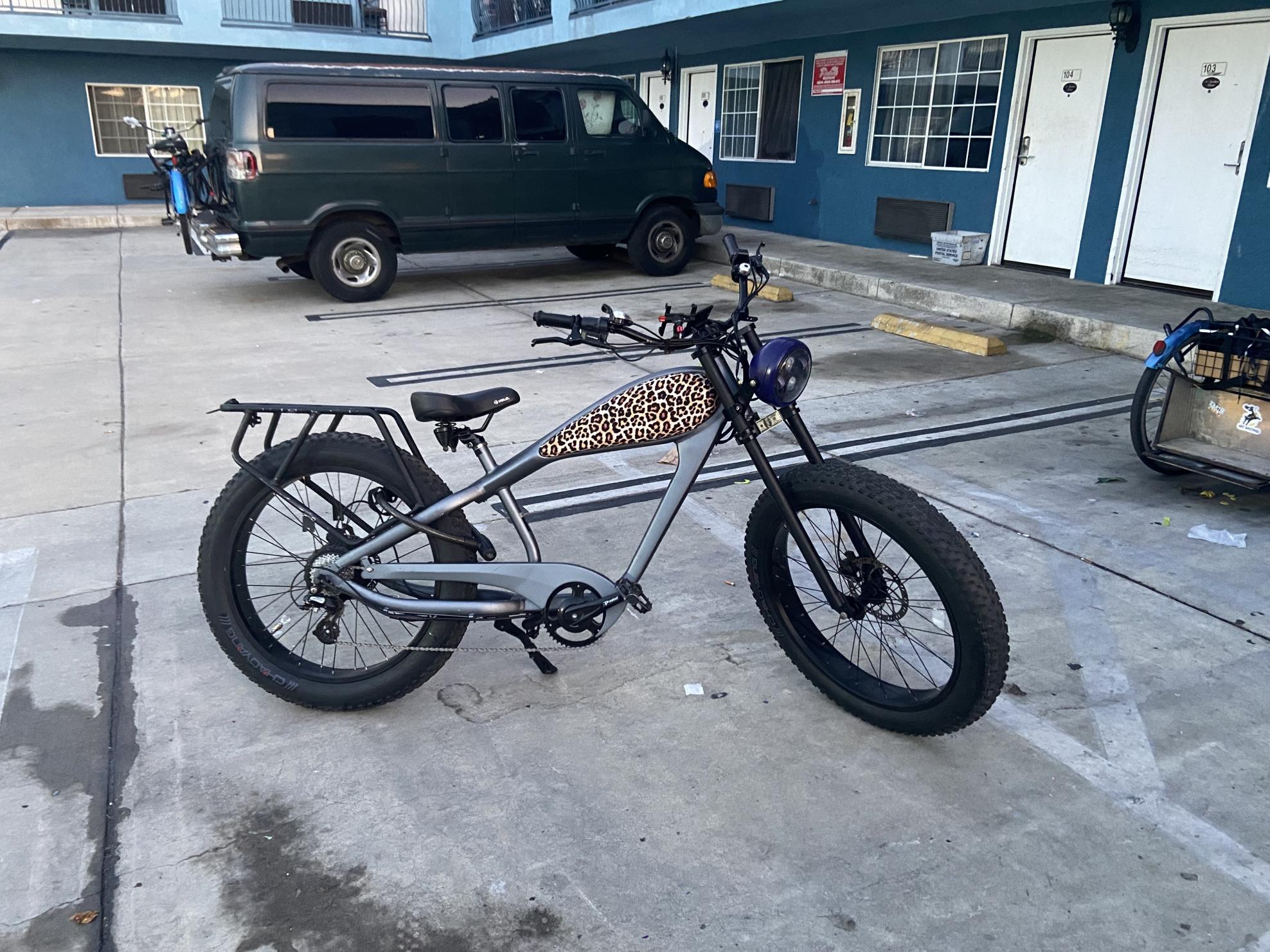 Cheetah Silver, gray or bare metal