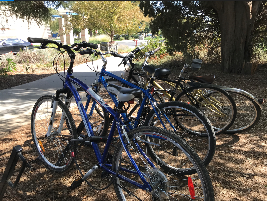 Infinity 18” Twentyfour.7 Blue