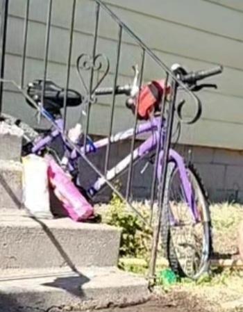 2023 Not sure Mountain bike Purple