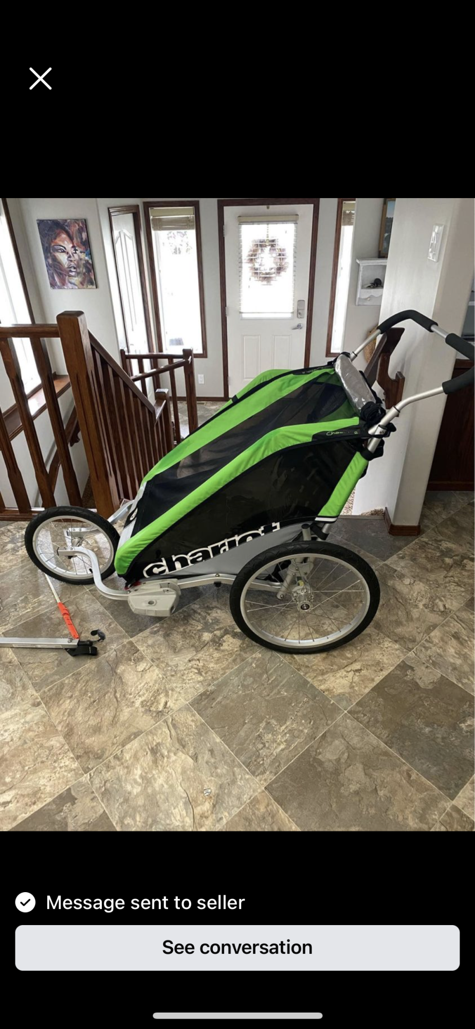 2013 Thule Cheetah 2 Green