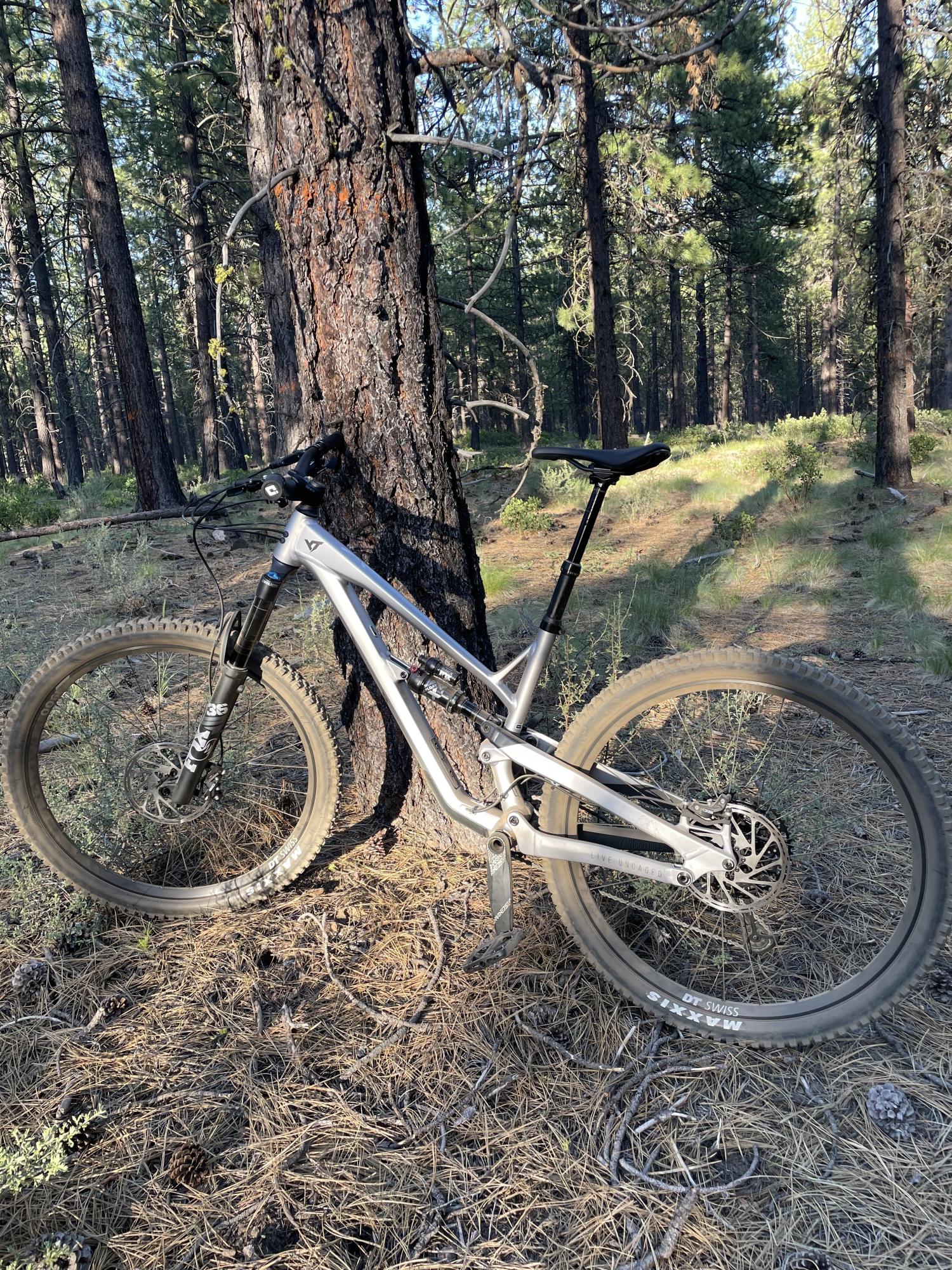 2023 YT Jeffsy Silver, gray or bare metal