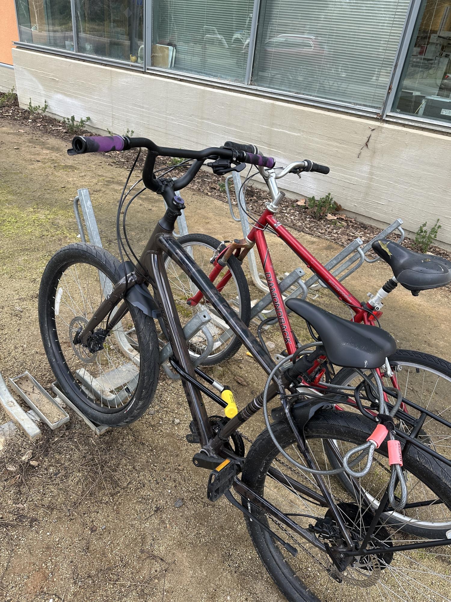 2024 Specialized Roll 3.0 Purple