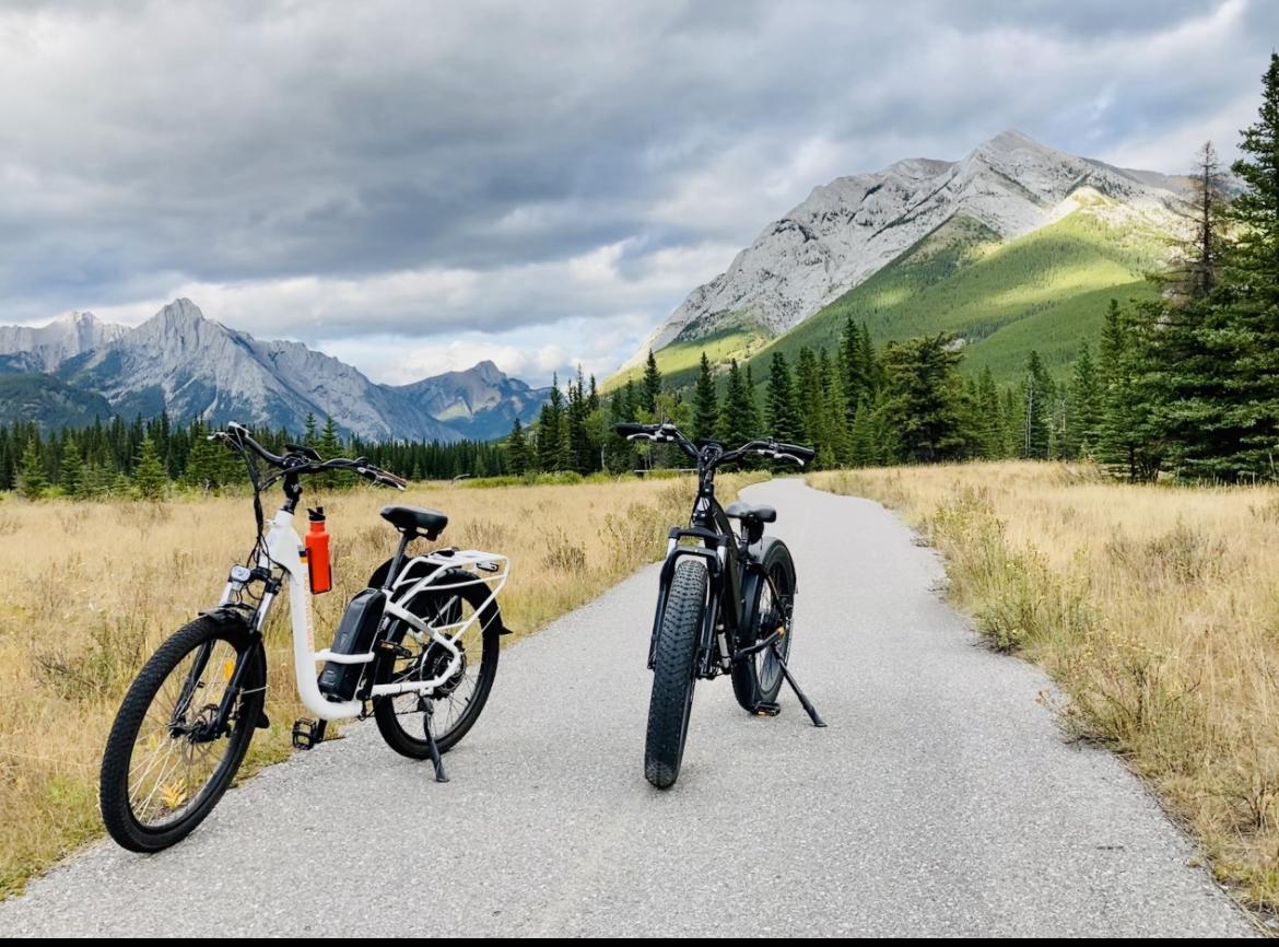 2018 Rad Power Bikes Rad City Step thru White