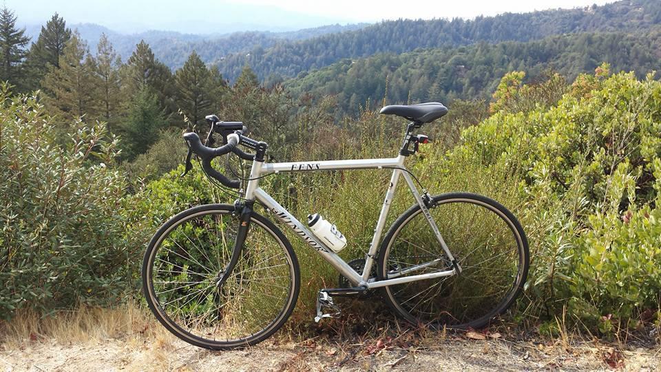 2008 Windsor Silver or Gray