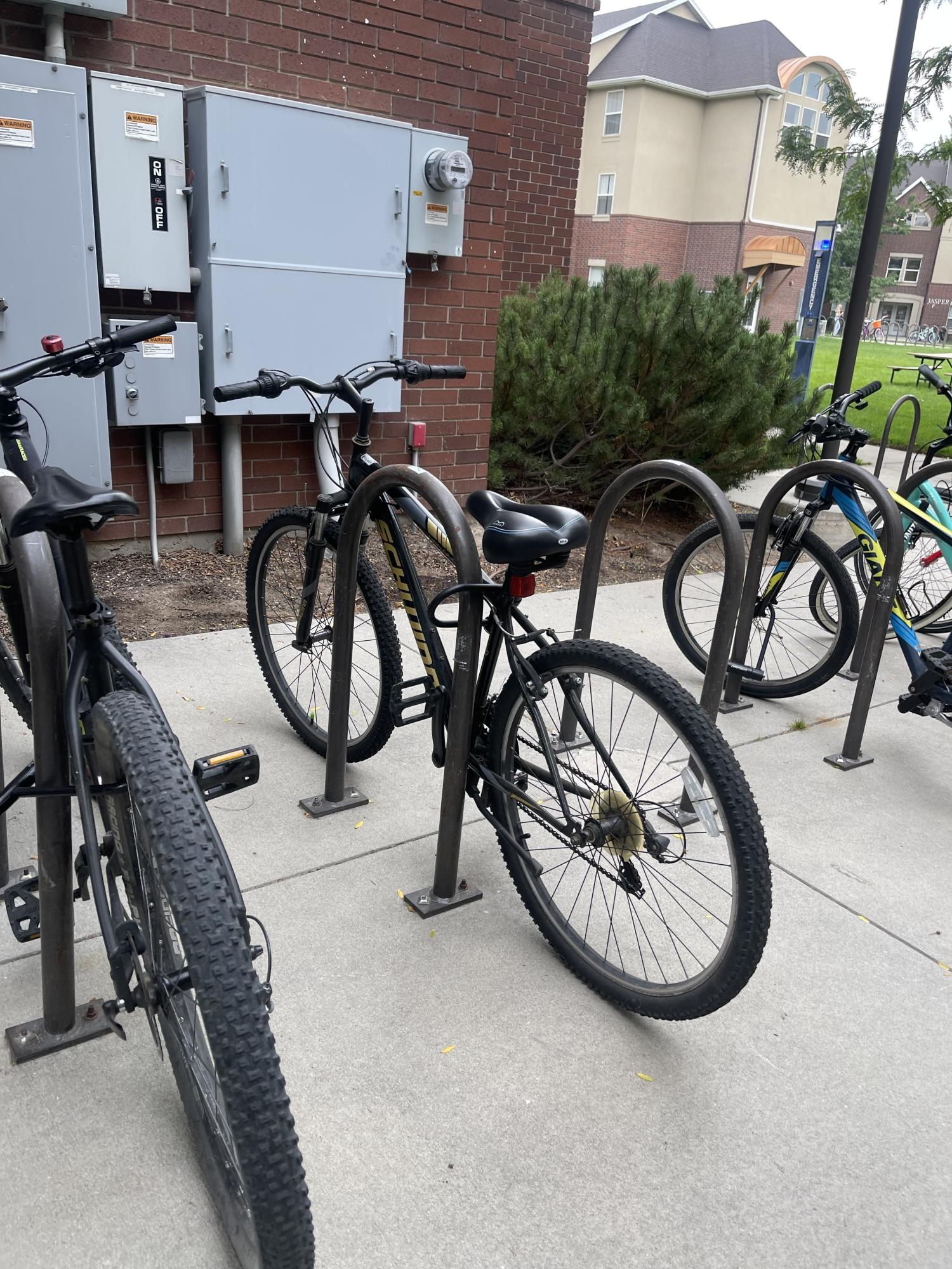 Schwinn High Timber Black