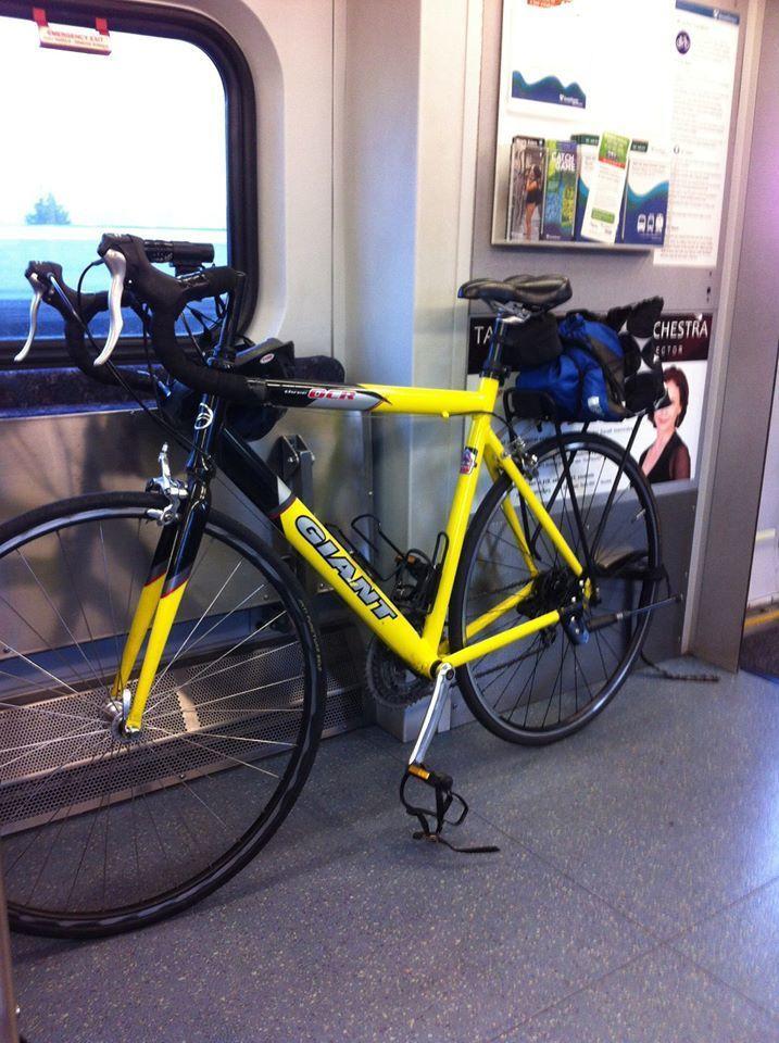 Giant OCR 1 Yellow or Gold