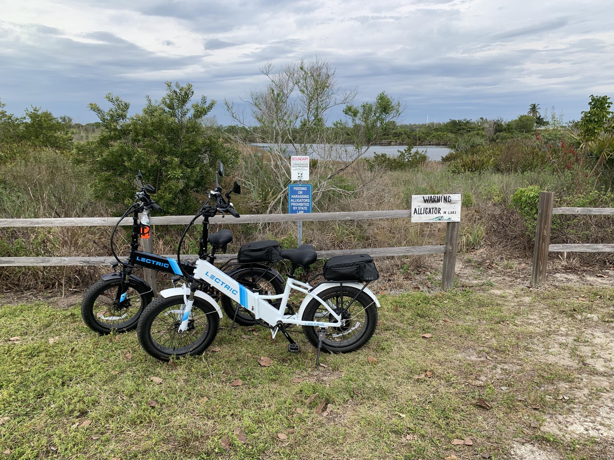 2021 Lectric eBikes White