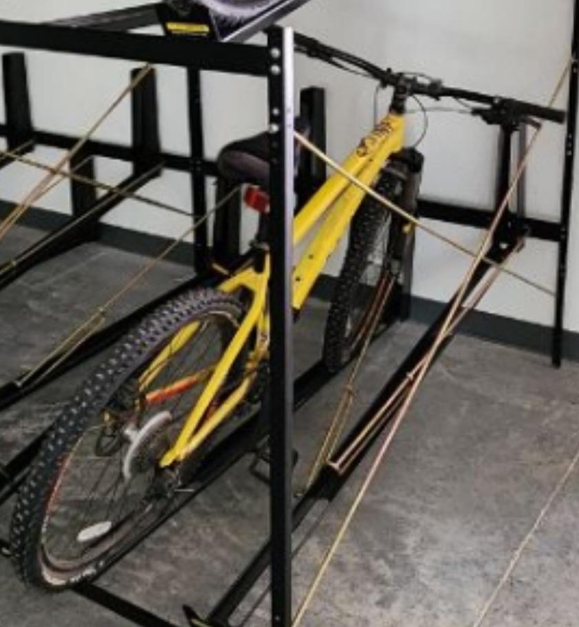 Diamondback Line Yellow or Gold