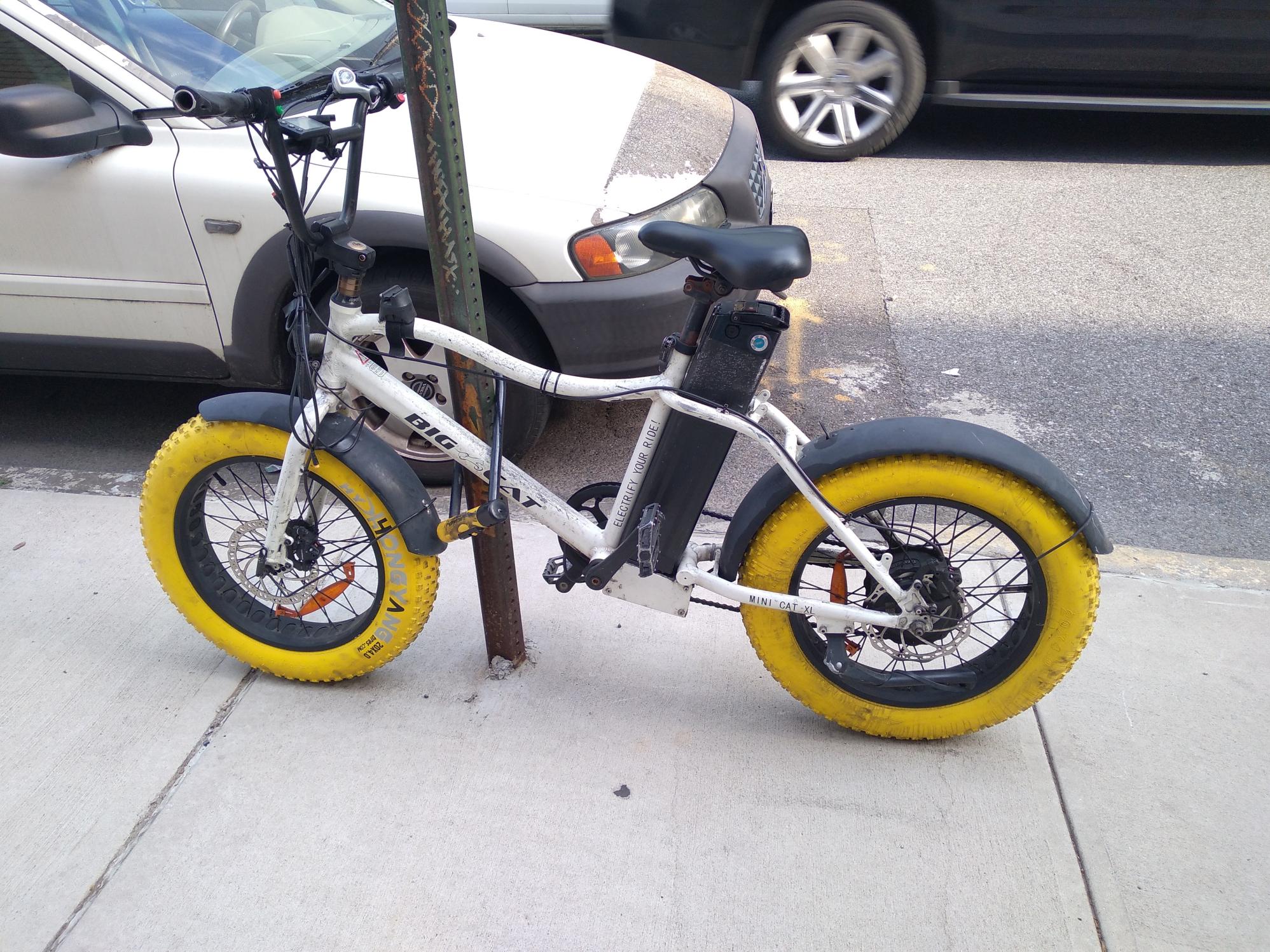 2018 Big Cat Bikes Big cat BMX White