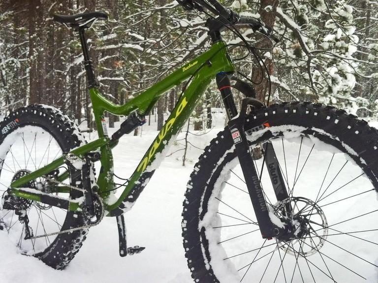 2016 Salsa Bucksaw Green