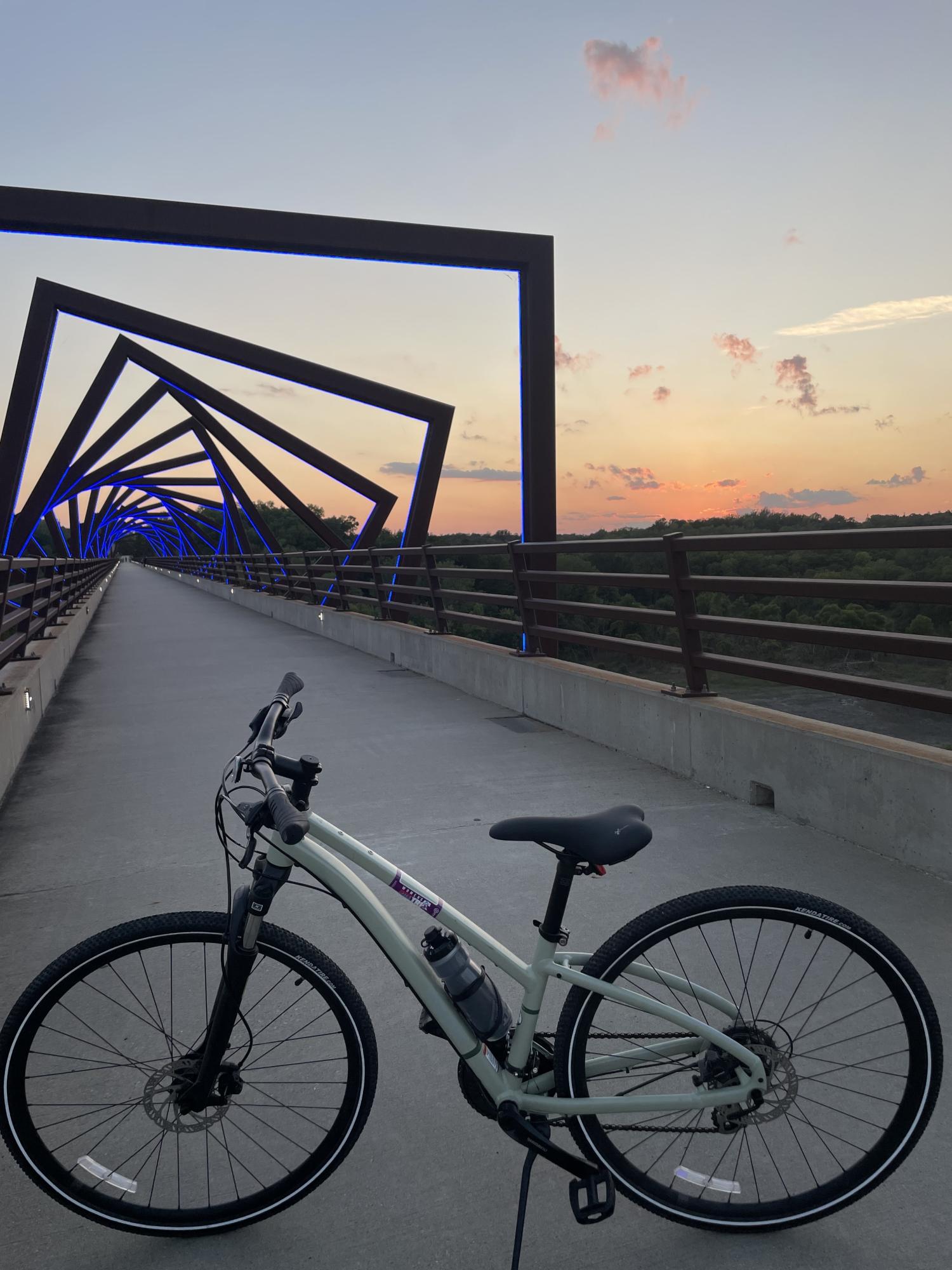 2023 REI Co-op CTY 2.1 Step Thru Green