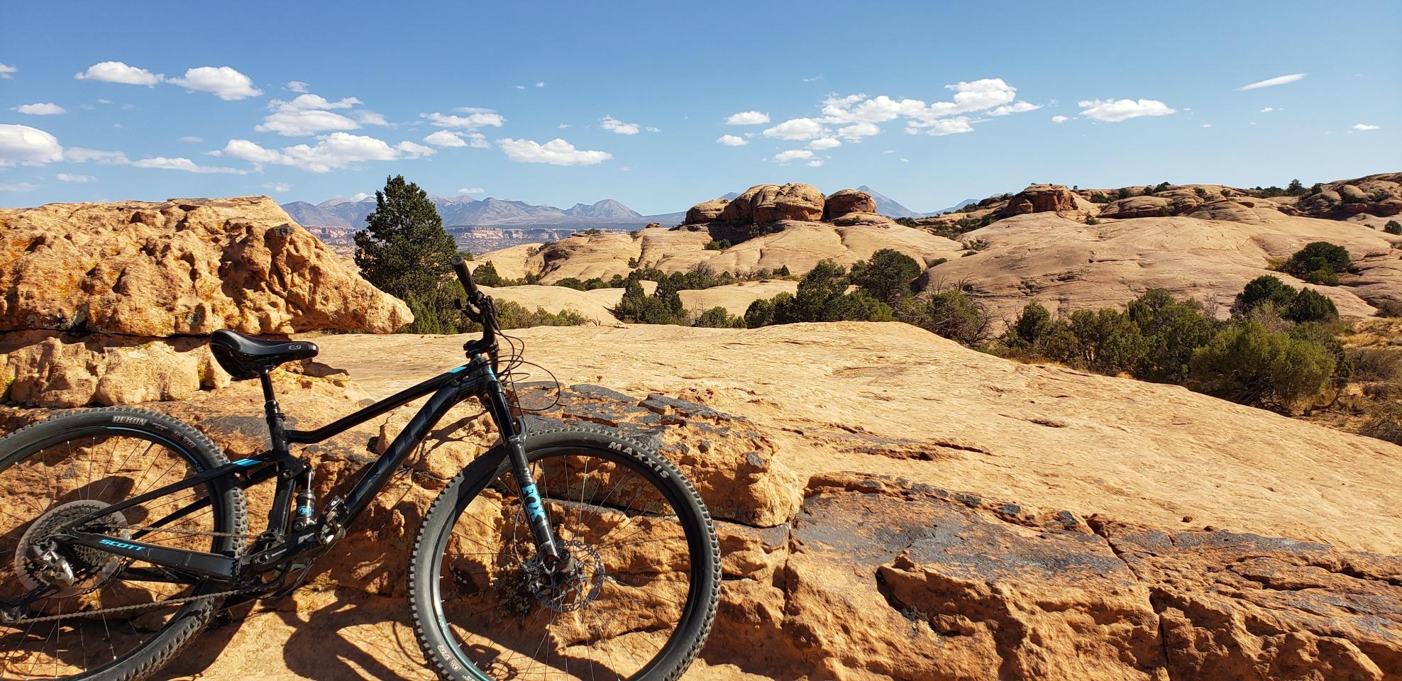 2019 SCOTT Black and Blue