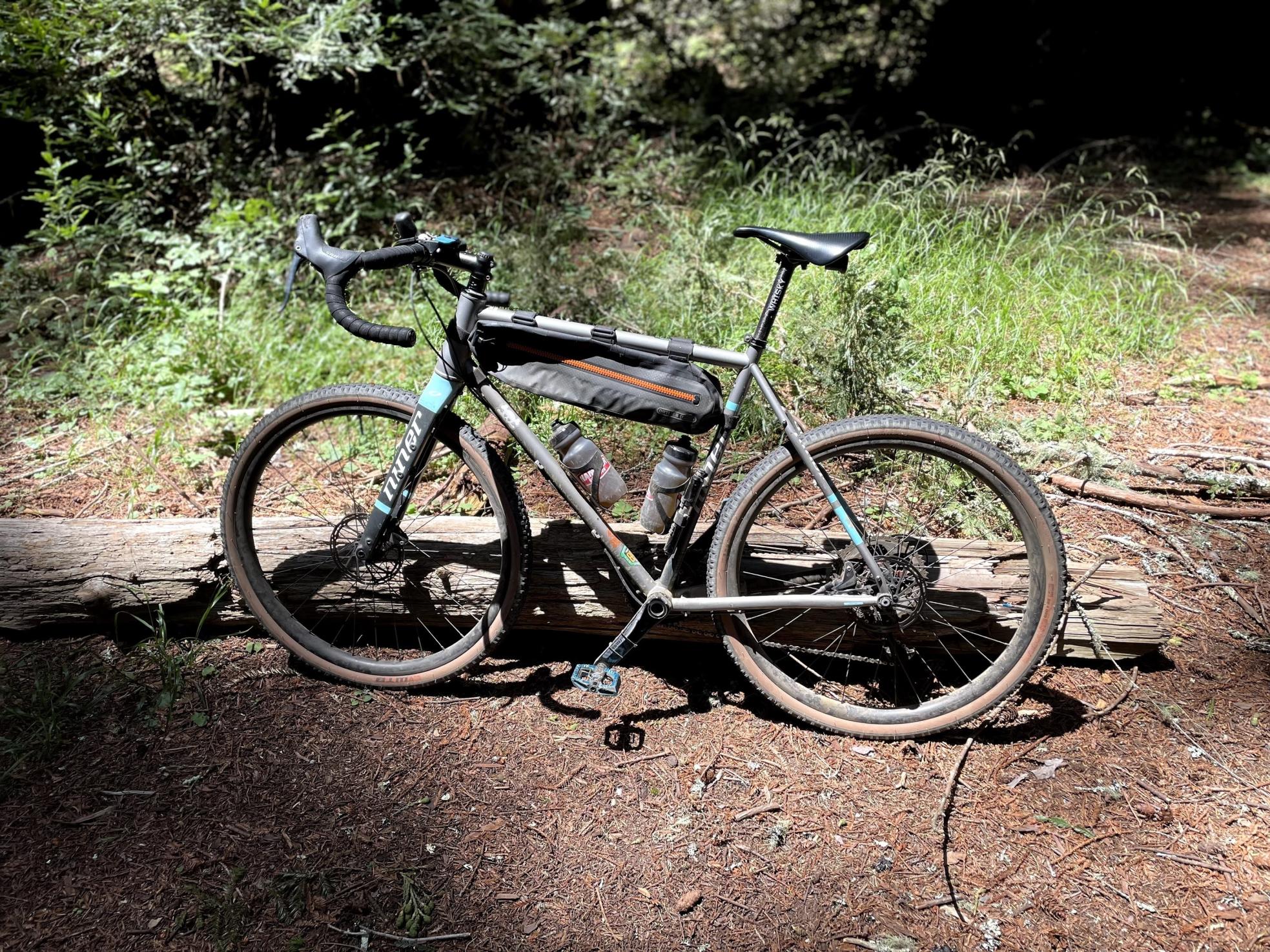 2018 Niner RLT Silver, gray or bare metal
