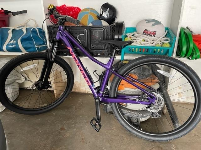Norco Bikes Storm Purple