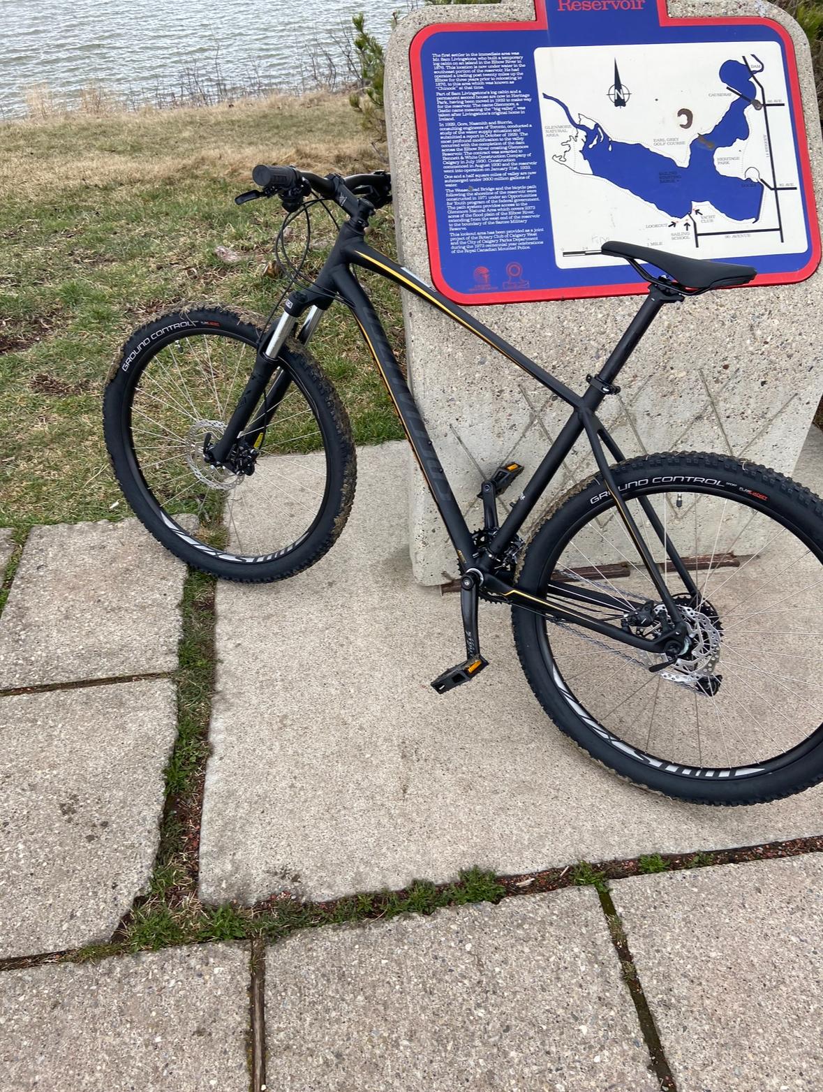 2020 Specialized Black and Yellow or Gold