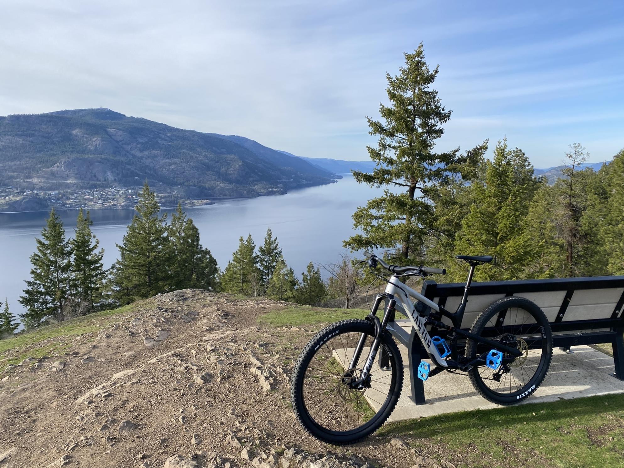 2021 Canyon bicycles Spectral Silver, gray or bare metal