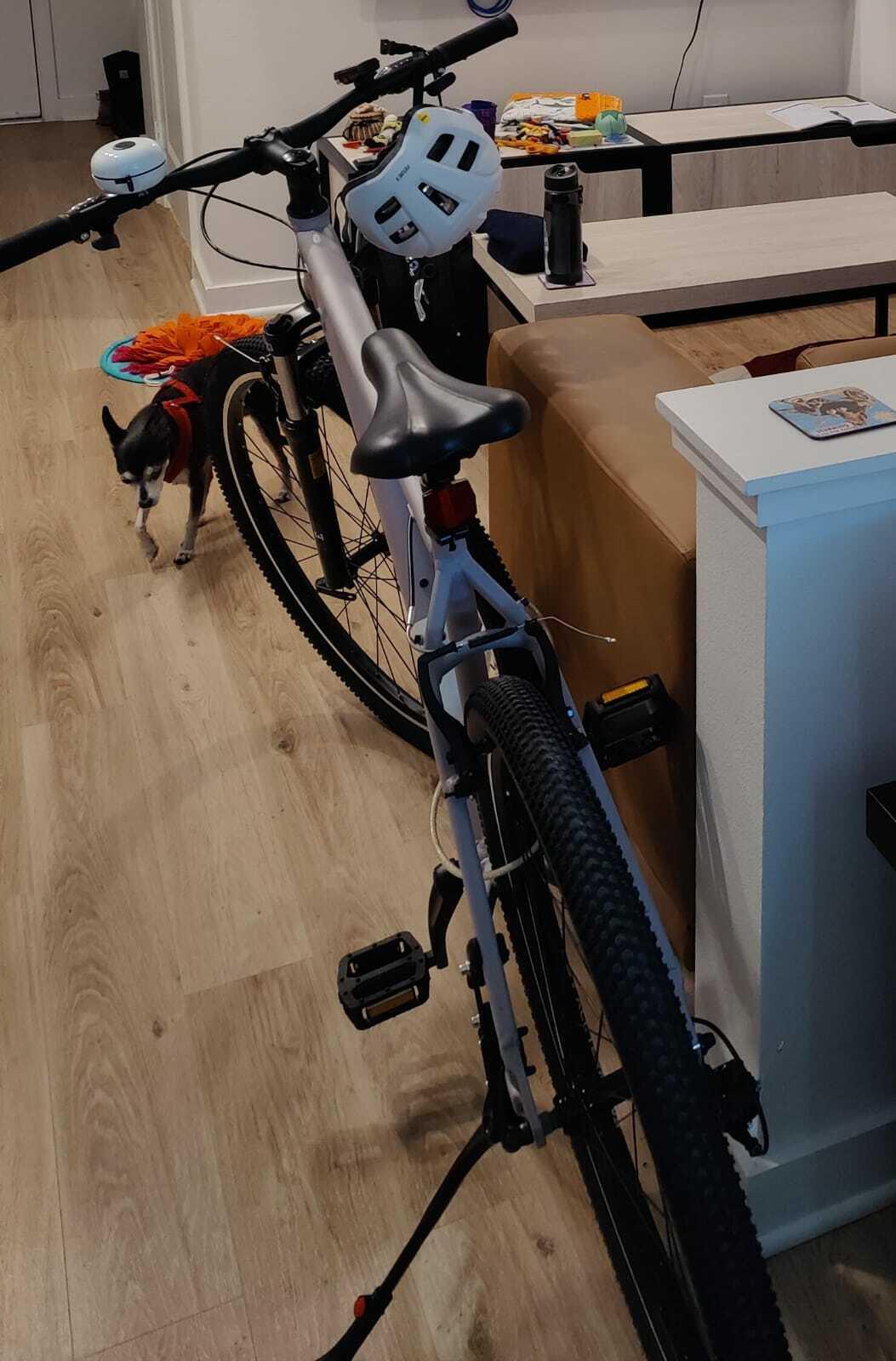 2025 Batch Bicycles Large 29-inch Matte Vapor Grey, looks... Silver, gray or bare metal