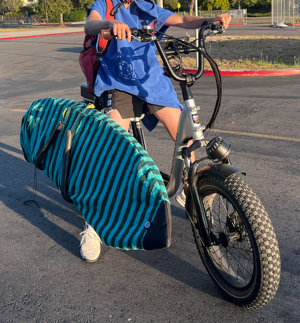 2022 Rad Power Bikes RadRunner+ Silver, gray or bare metal