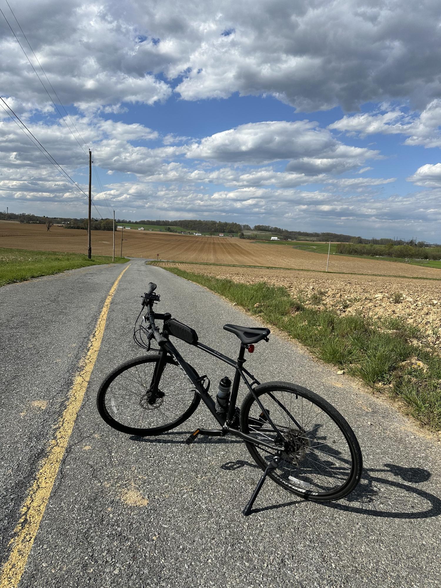 2020 Trek FX2 Black