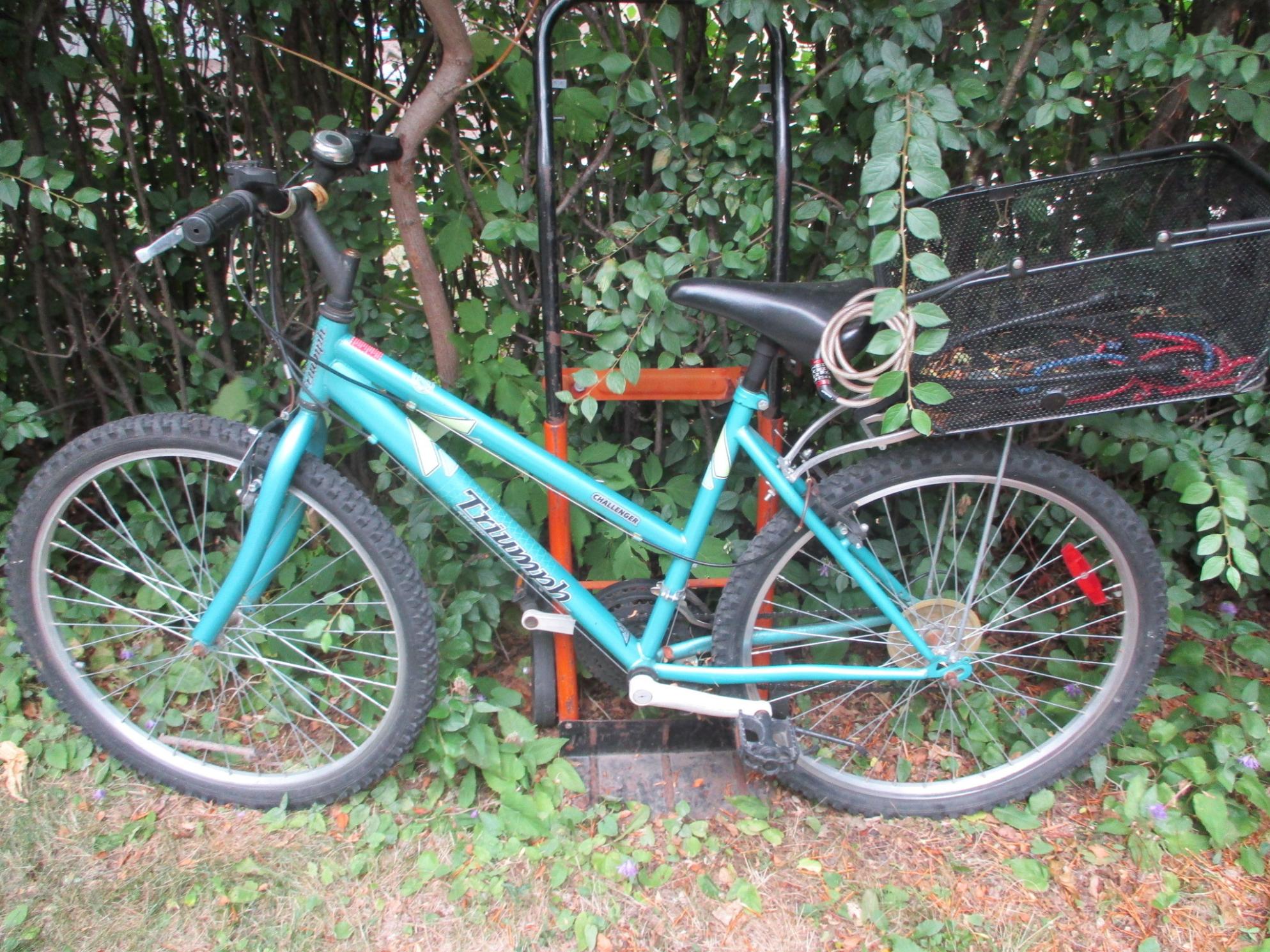 2022 Raleigh Triumph Challenger Teal