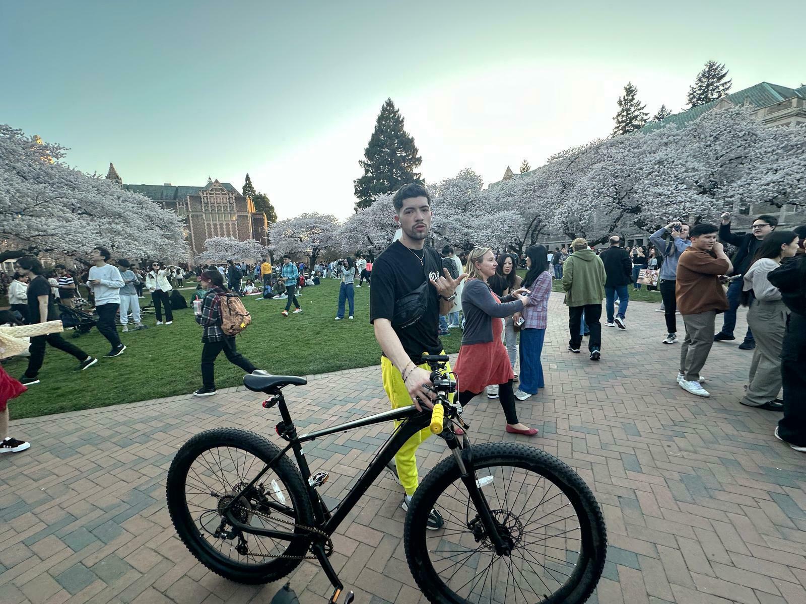 2018 Schwinn 2018 Black and Yellow or Gold