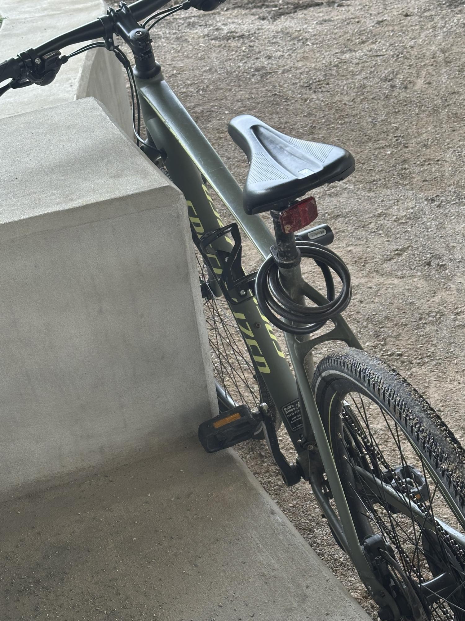 2019 Specialized Specialized RockHopper Green