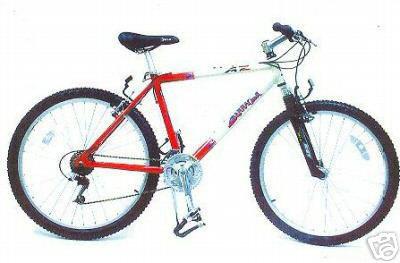 Barracuda AtoZ mountain bike  Black