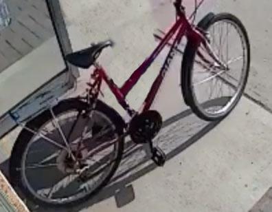 Giant Attraction Pink