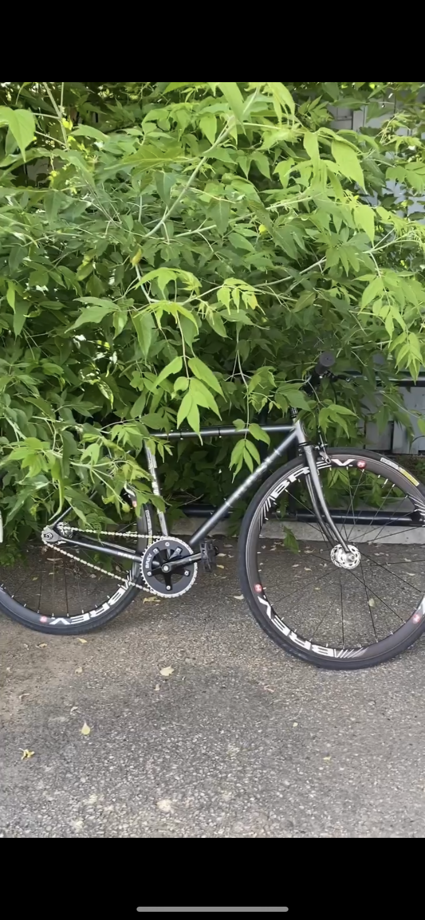 2018 Masi Uno riser Silver, gray or bare metal